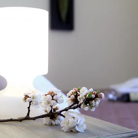 Apart-hotel Niriides Lefkáda